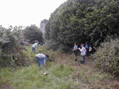 Work starts by volunteers